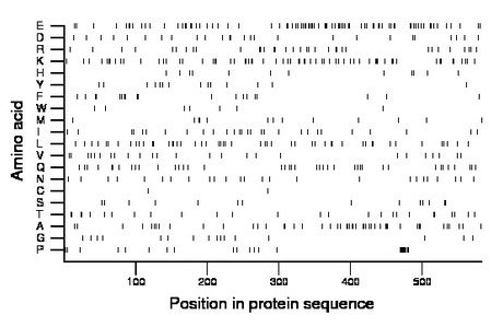 amino acid map