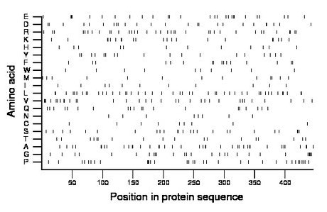 amino acid map