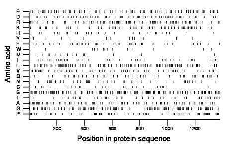 amino acid map