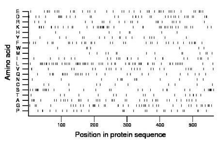 amino acid map