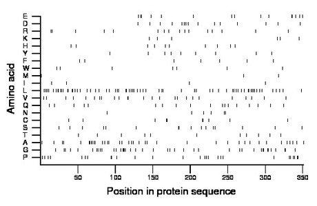 amino acid map