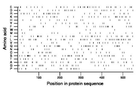 amino acid map