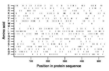 amino acid map