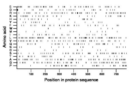 amino acid map