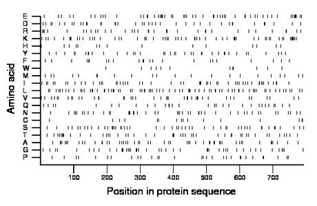 amino acid map