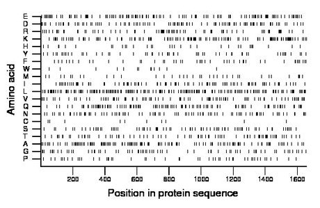 amino acid map