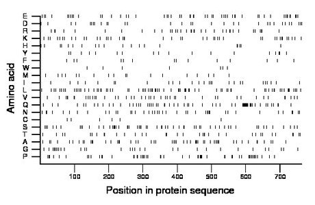 amino acid map