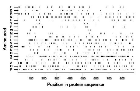 amino acid map