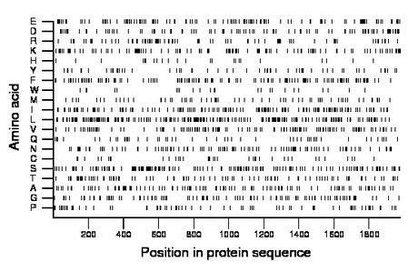 amino acid map