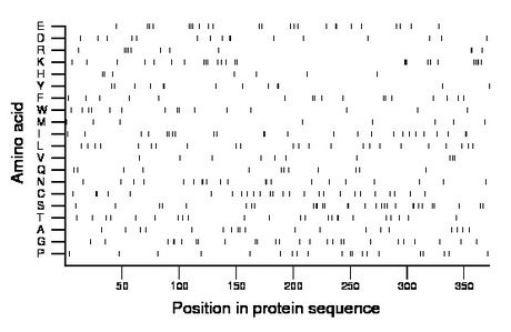 amino acid map