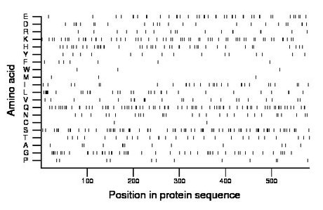 amino acid map