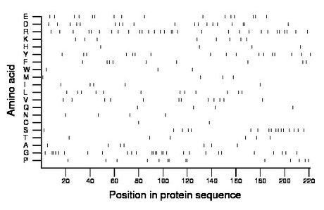 amino acid map