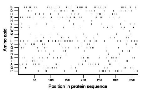 amino acid map