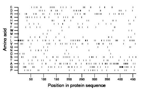 amino acid map