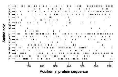 amino acid map