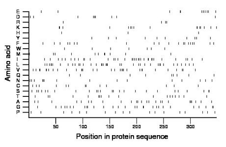 amino acid map