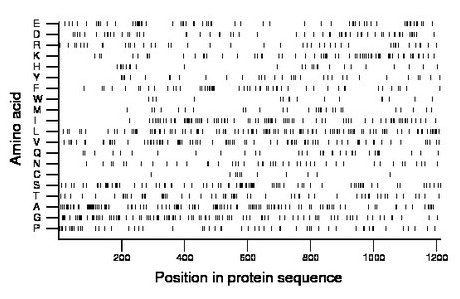 amino acid map