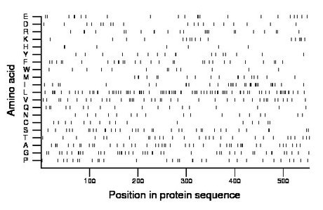 amino acid map