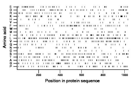 amino acid map