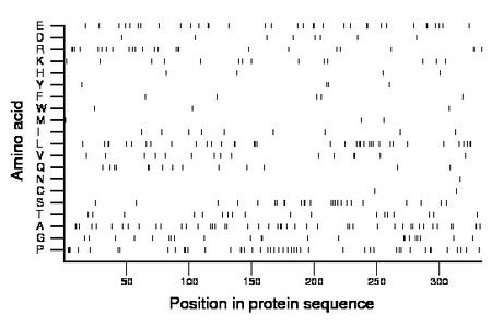 amino acid map