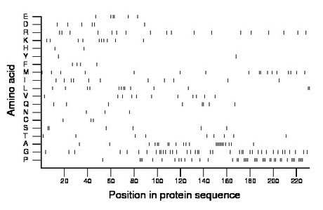 amino acid map