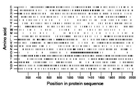 amino acid map