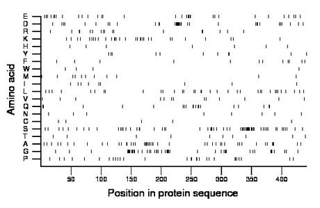 amino acid map