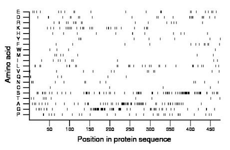 amino acid map