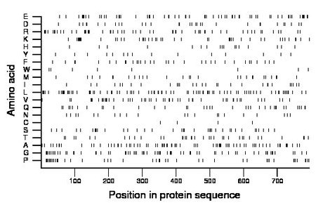 amino acid map