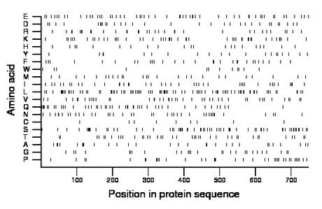 amino acid map