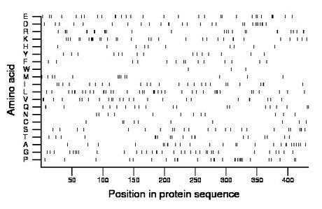 amino acid map