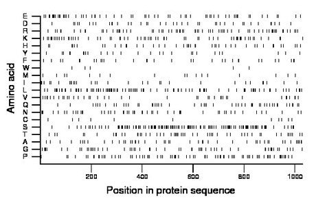 amino acid map