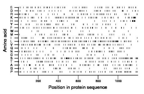 amino acid map