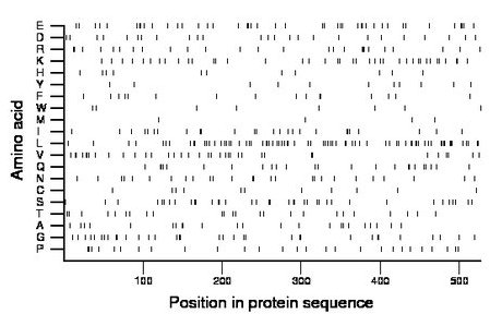 amino acid map