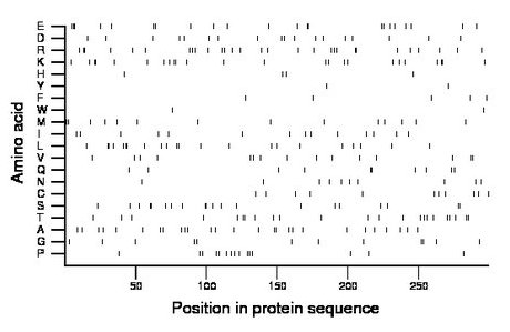 amino acid map