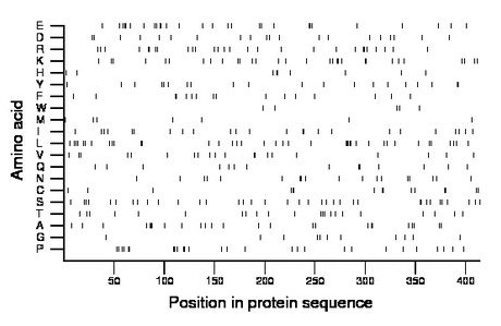 amino acid map