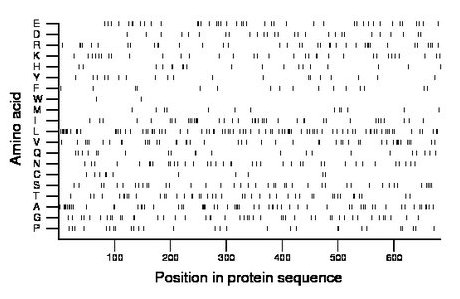 amino acid map