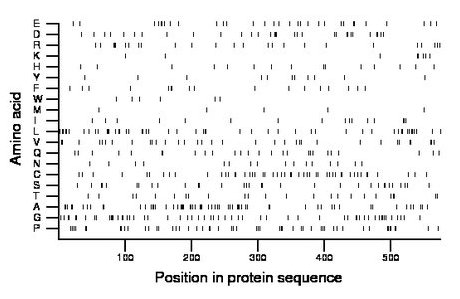 amino acid map