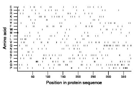 amino acid map