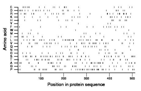 amino acid map