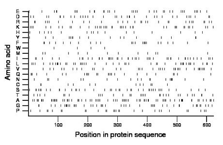 amino acid map