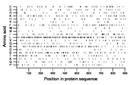 amino acid map