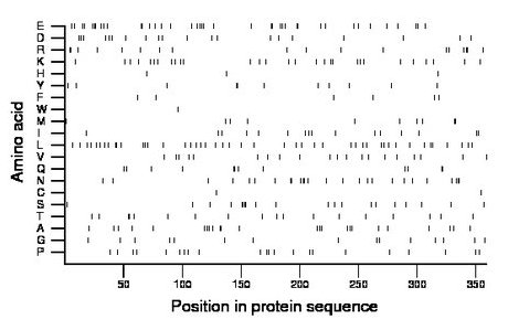 amino acid map