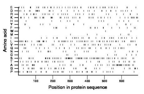 amino acid map