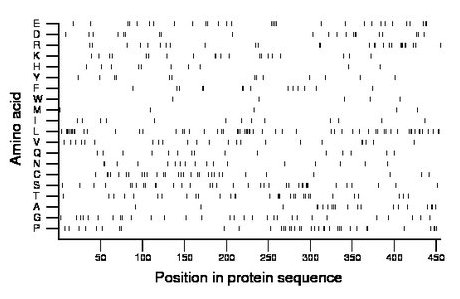 amino acid map