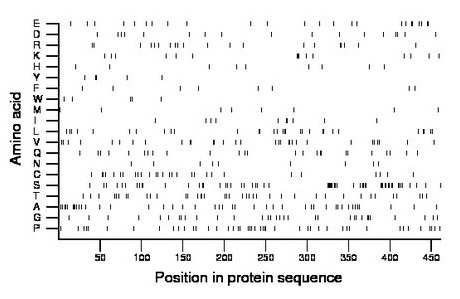 amino acid map