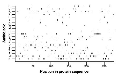 amino acid map