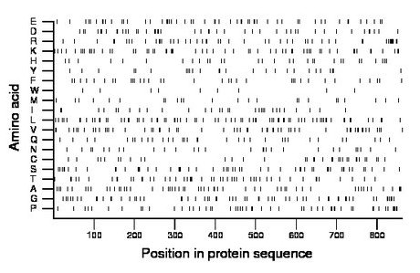 amino acid map