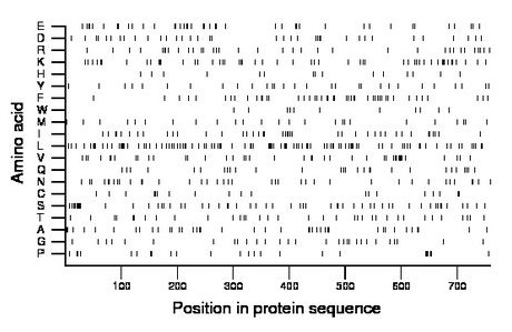 amino acid map