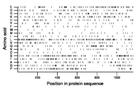 amino acid map